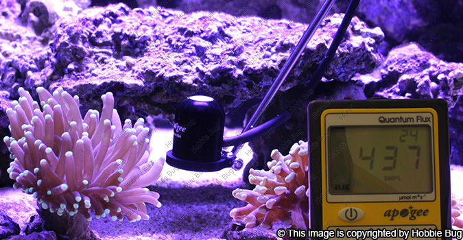 aquarium light quantum meter measure